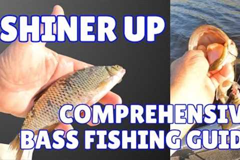 Mastering Bass Fishing with Live Shiners: Ultimate Guide Headwaters Lake