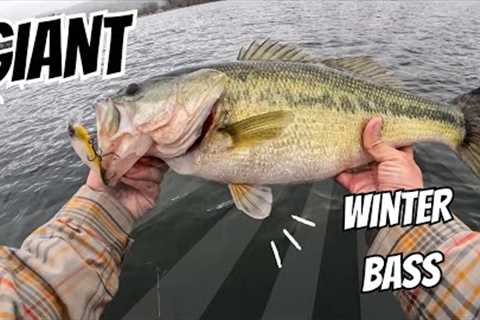 WINTER FISHING LEGENDARY LAKE GUNTERSVILE (Best Lake in America?!?)