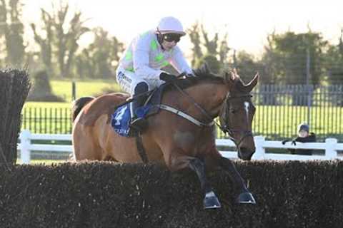 Allegorie De Vassy is BACK! What a performance from Willie Mullins' star mare