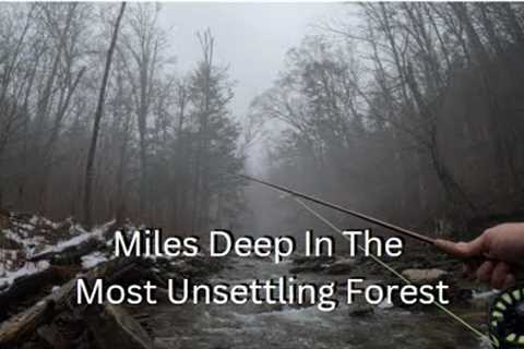 Fly Fishing In A HAUNTING Pennsylvania Forest!~(Ep31)