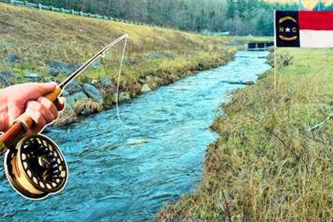 The Moment I Realized I Love Fly Fishing (Huge Wild Trout)