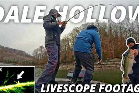 Searching for Winter Bass at Dale Hollow Lake