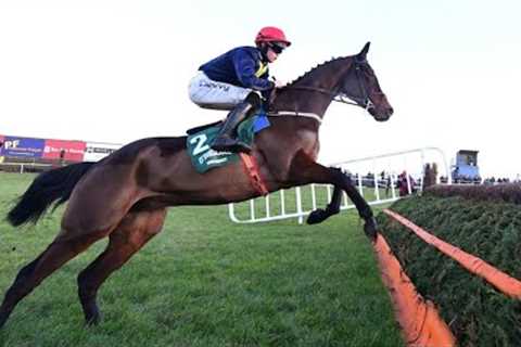 All class! EMBASSY GARDENS is too good for Monty’s Star in Tramore feature