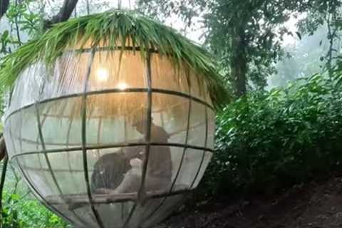 Full Video Building a Unique Shelter in the Forest Essential Survival Skills You Need to Know