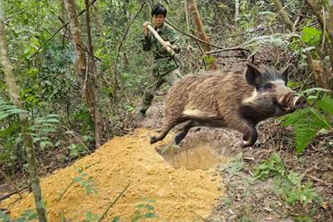 Detect wild boars foraging for food, dig holes and set traps to catch them, survival skill