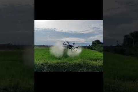 The Future of Farming: Drone Spraying Technology #trending #viralvideo #shortsfeed #shorts #reels