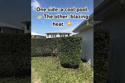 One side: a cool pool. 🏊‍♂️ The other: blazing heat. ☀️