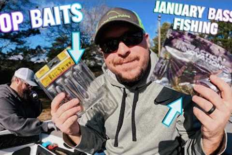 Best Baits for January Bass Fishing in 2025