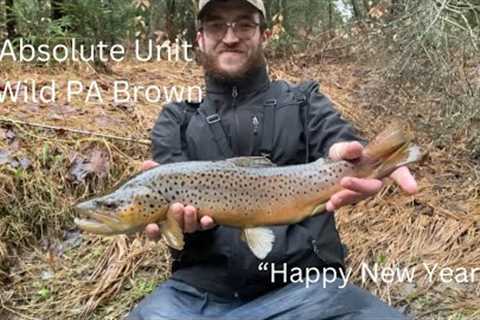PA Fly Fishing the LAST DAY of 2024 (Streamers and BIG browns)