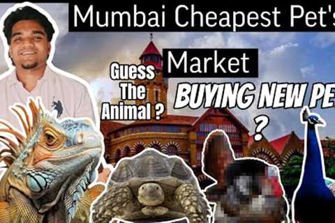 Buying New Pet Form Mumbai Cheapest Exotic Pet Market Crawford Market | 2025 #dailyvlog #pets #viral