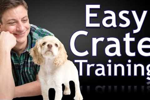 How to Crate Train a Puppy