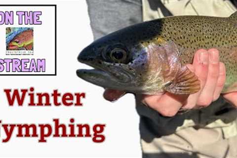 How to Fish Two Nymphs | Winter Fly Fishing for Trout | Tightline Nymphing Tactics