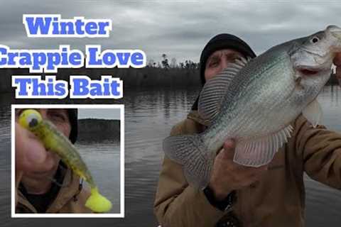 Winter Crappie Love This Bait, Crappie Fishing Tips w/ Livescope Footage