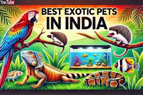 Exotic Pets You Can Legally Own in India | Rare &amp; Unique PetsBest Exotic Pets India