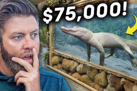 Private Tour Of The World's Best Prehistoric Zoo