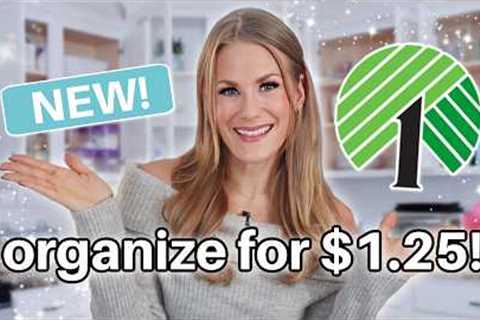 BEST Dollar Tree Organization for EVERY ROOM in 2025! 💙 ALL my easiest viral secrets!
