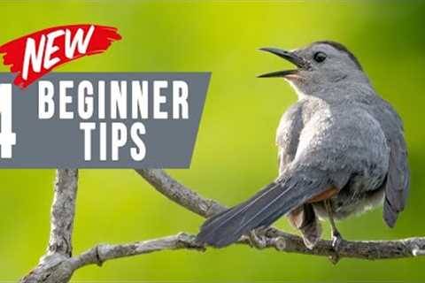 Bird Photography for Beginners: 4 Unusual Tips