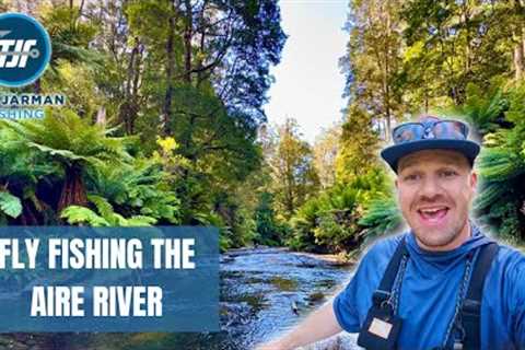 Fly Fishing The Aire River