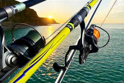 A Quick Guide to Starting Sea Fishing the right way