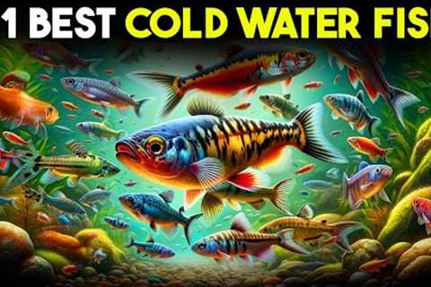 Top 21 Cold Water Fish for Your Aquarium That Wow