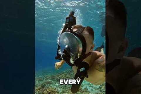 3 reasons why you need this 😍 #underwater #snorkeling #beach #ocean #watersports #diving