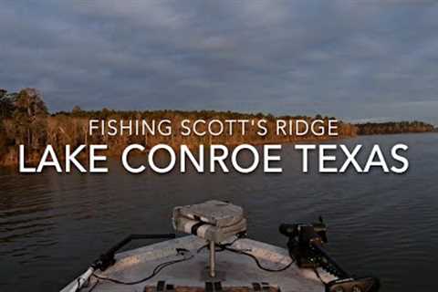 New Year's Bass Fishing! Scotts Ridge/Lake Conroe Texas