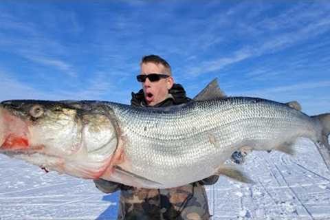 4 Day Fishing + Hunting Catch &amp; Cook in an Inuit Village (Best Ice Fishing in the World)