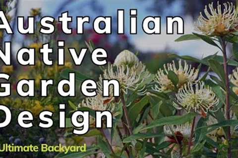 Australian Native Garden Design: Expert Tips