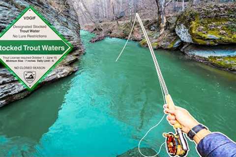 Fly Fishing one of VA’s BEST Stocked Trout Streams (Virginia Fly Fishing)