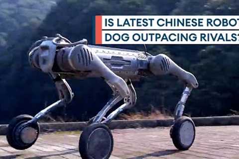 China's new Unitree B2-W robot dog boasts incredible agility and balance