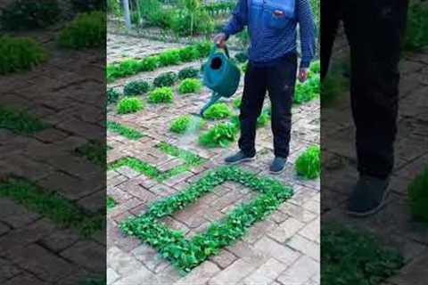 Super Gardening 😉 #satisfying #short