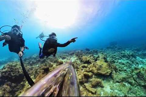 Scuba Diving in Lakshadweep | @AMMATHISCUBA