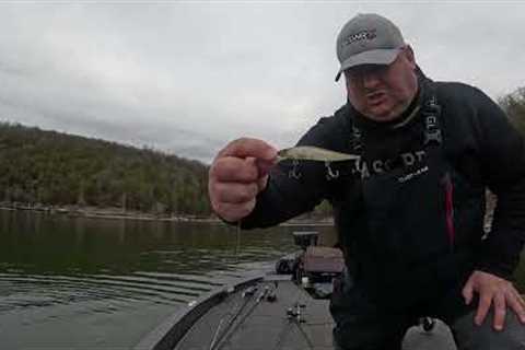 Table Rock Lake Fishing Report December 17,  2024 Jerk Bait Fishing