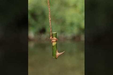 Making survival fishing line and hook with natural materials