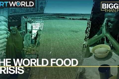 The World Food Crisis