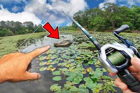 There’s a GIANT Problem with my New Favorite Fishing Lake (Terrifying)