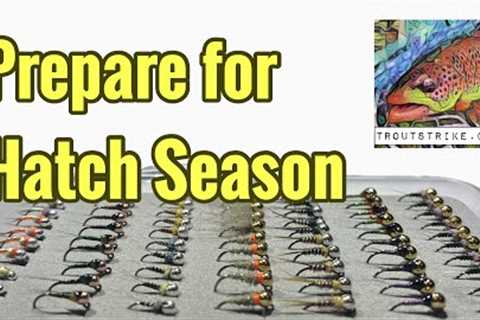 Fly Fishing Basics | Preparing for Hatch Season | Organize Your Flies