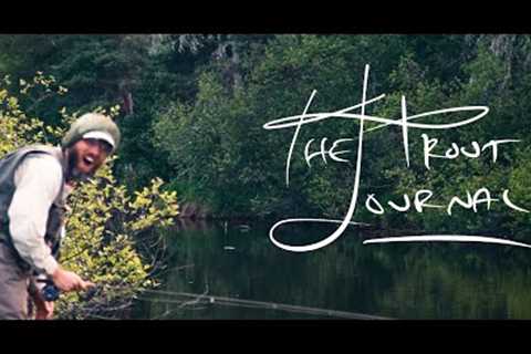 The Trout Journal | Keep the Lie Alive | Fly fishing Upper Peninsula MI
