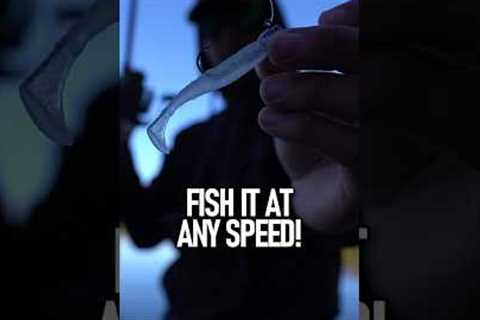 BEST Fishing Lure of All Time! #fishing