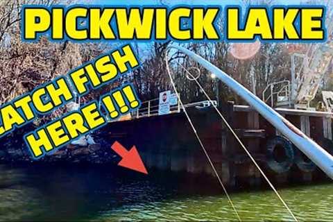 EXTREMELY AGGRESSIVE FISH BITE !! Fishing PICKWICK LAKE on TENNESSEE RIVER ( Mr. JIMMY)
