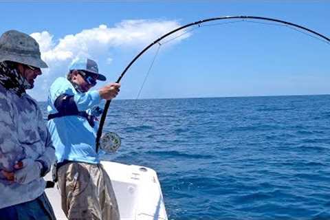 Attempting the Impossible! Goliath Grouper on Fly Fishing Tackle