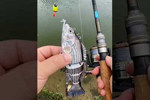 Electronic fishing lure fishing gear and tools #fishing #fishinggear #fishingaccessories #fish
