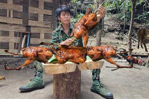 survival skills in the forest, quail trapping, dining table design and taming wild animals