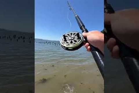 What would you catch with this?