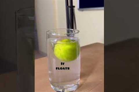 Easy simple science experiments for school students| DIY | water salt  lemon sinking check|Mr MAK
