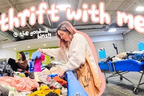 thrift with me at the GOODWILL BINS!