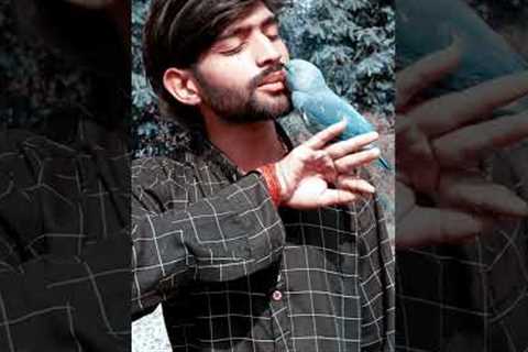 The Most Intelligent Parrot |#talkingparrot #parrottalking #parrotlover #birds #parrots #greenparrot