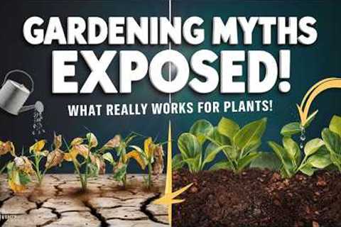 Gardening Myths Debunked: What Really Works?