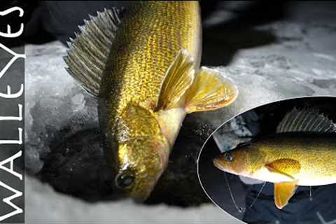 MUST KNOW TIPS  for Ice Fishing FINICKY Walleyes!