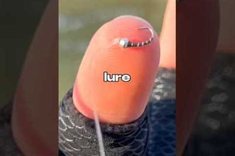 I Fished with the SMALLEST Fishing Lure 🐟🎣 #fishing